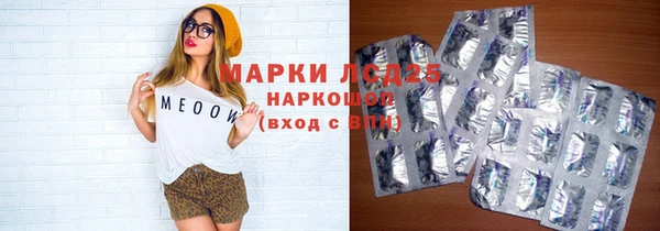 прущие грибы Щигры