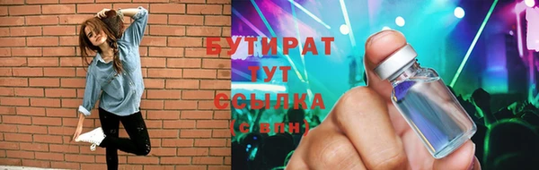 стаф Горняк