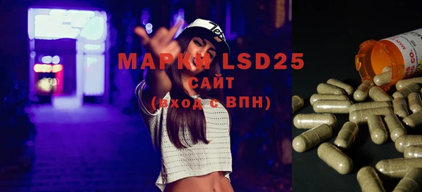 стаф Горняк