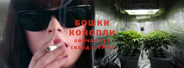 стаф Горняк