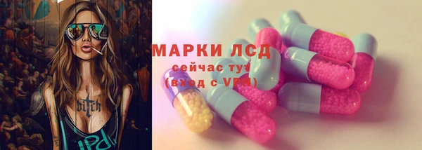гидропоника Новозыбков