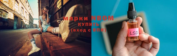 стаф Горняк