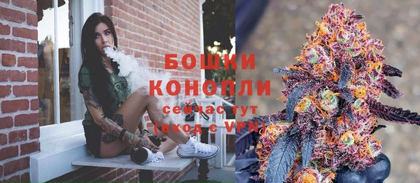 гидропоника Новозыбков