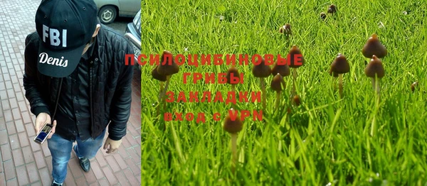 мдпв Новокубанск